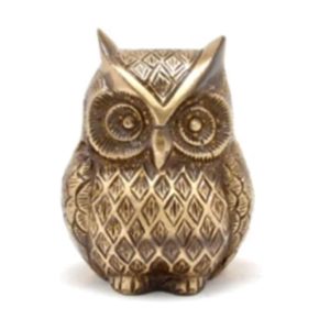 Vastu Sarwasv - Owl