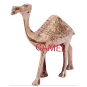 Vastu_Sarwasv_Camel_001